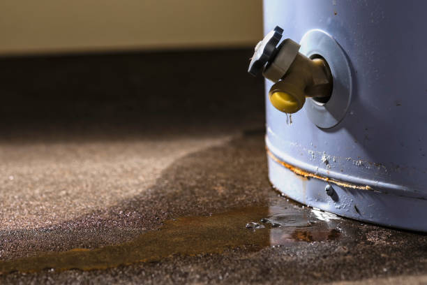Best Fire Damage Restoration  in Pelham, GA
