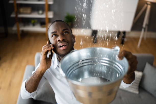 Best 24-hour water damage restoration  in Pelham, GA