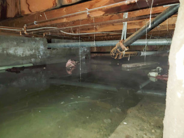 Best Fire Damage Restoration  in Pelham, GA