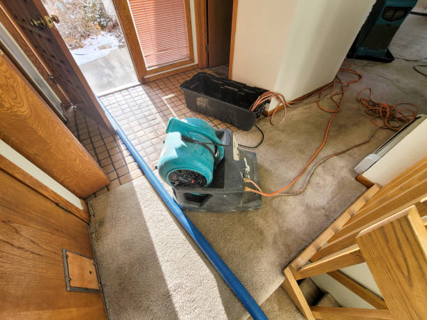 Best Sewage cleanup and water damage restoration  in Pelham, GA