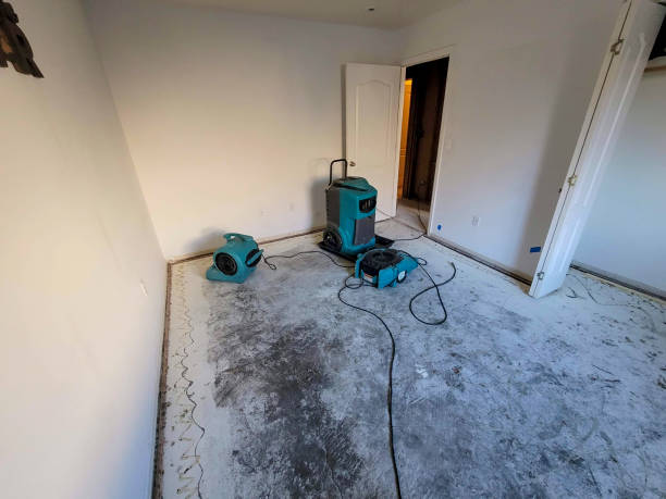 Best Emergency water damage restoration  in Pelham, GA