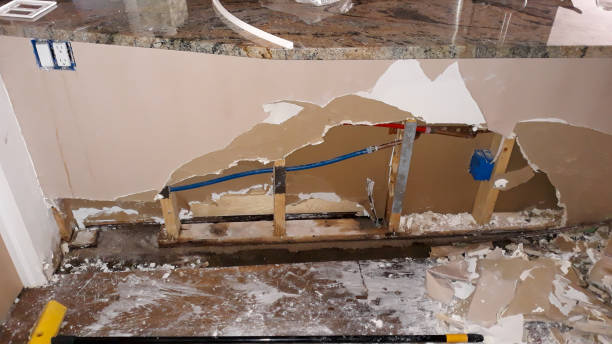 Best Mold removal after water damage  in Pelham, GA