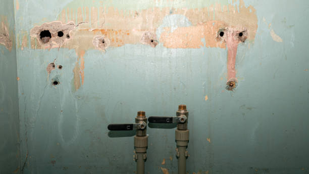  Pelham, GA Water damage restoration Pros