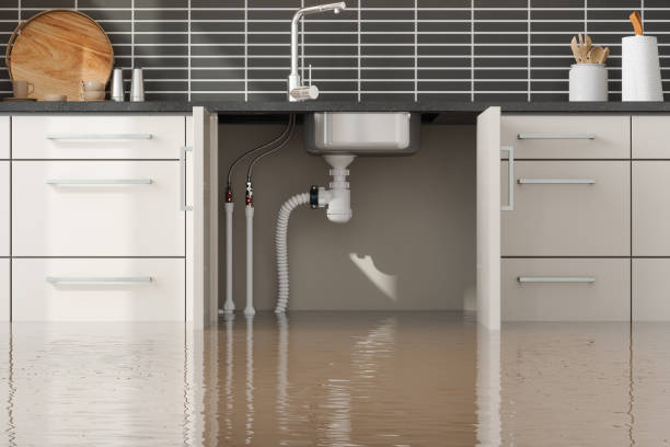 Best Sewage cleanup and water damage restoration  in Pelham, GA