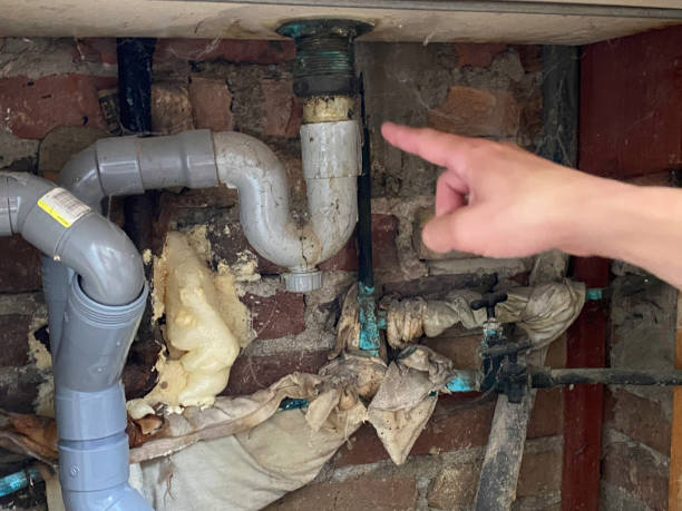 Best 24-hour water damage restoration  in Pelham, GA