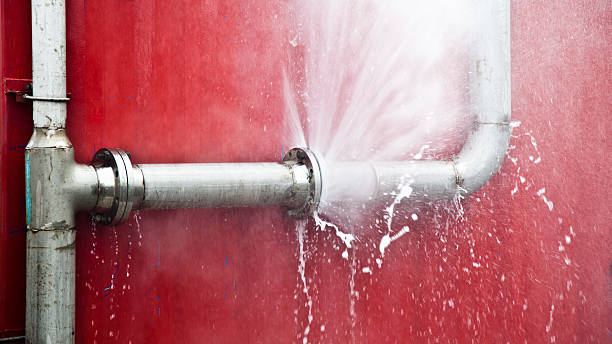 Best Local water damage restoration  in Pelham, GA