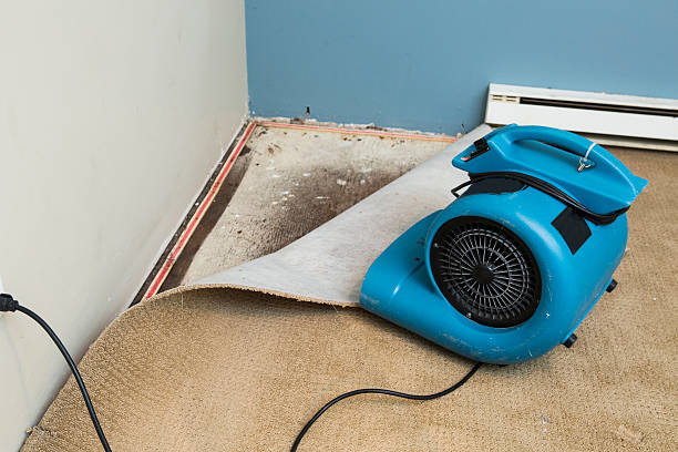 Best Water damage restoration near me  in Pelham, GA